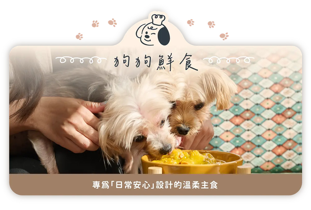 狗狗鮮食