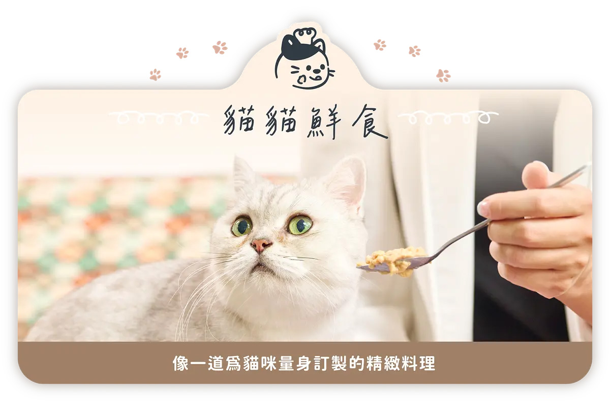 貓貓主食